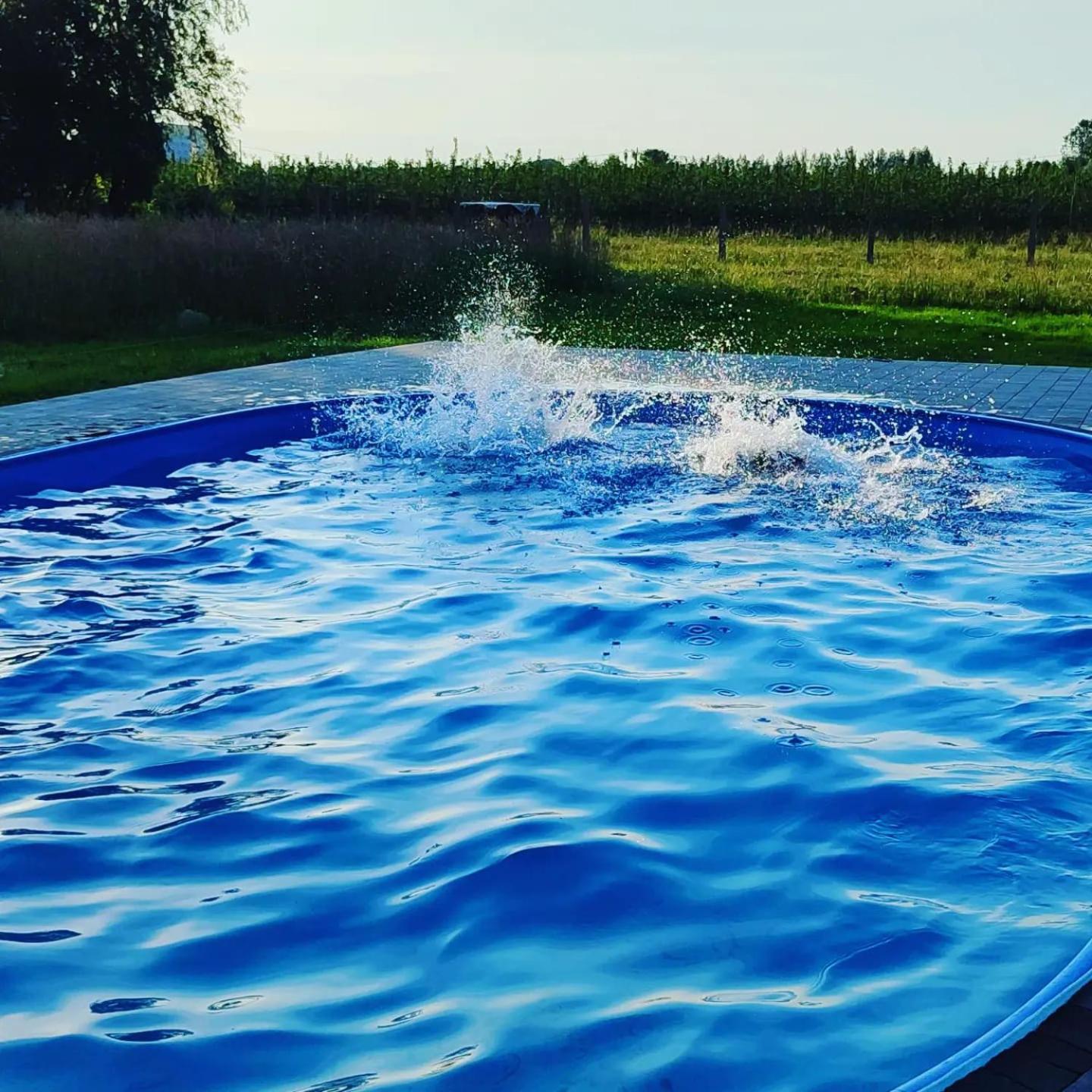 Apartamenty Wilga Z Calorocznym Jacuzzi I Letnim Basenem Exterior foto
